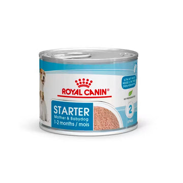 Royal Canin Starter llauna per a cadells
