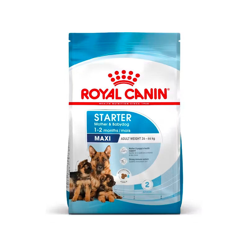 Royal Canin Starter Maxi pienso para perros Imagen principal del producto