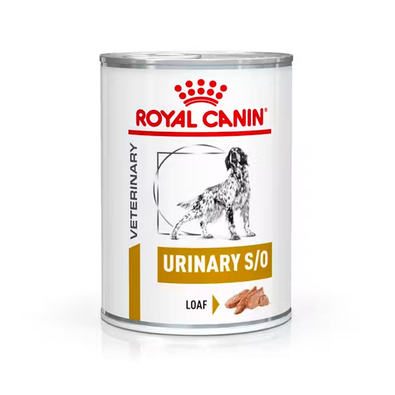 Royal Canin Urinary S/O lata para perros
