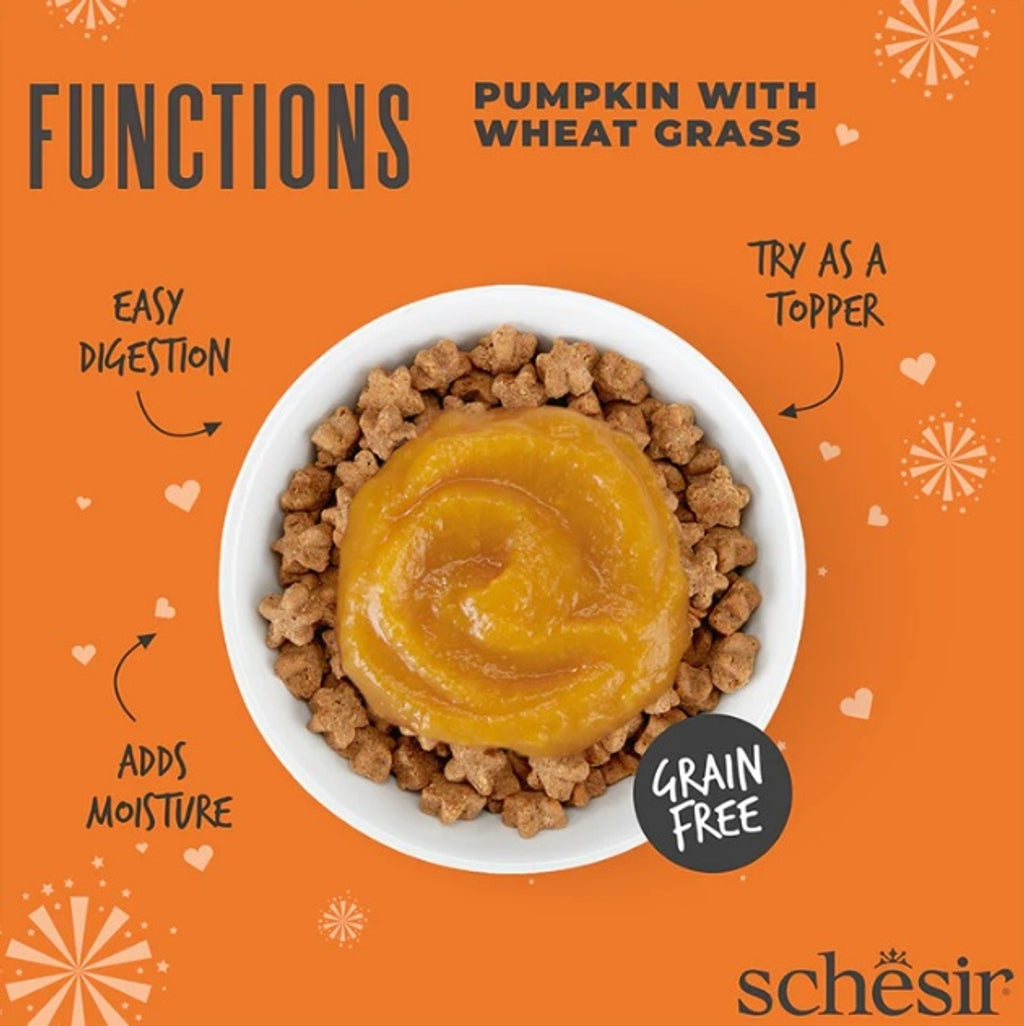 gat Functions GF Digestive Toppers amb carbassa 4