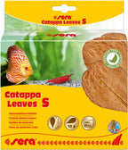 Catappa leaves 10 hojas d'almendro indio