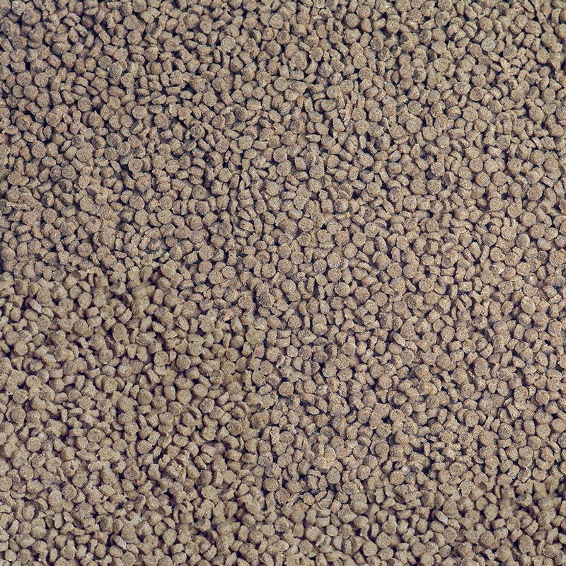ciclids tanganyika granured nael teure 250 ml - 135 g