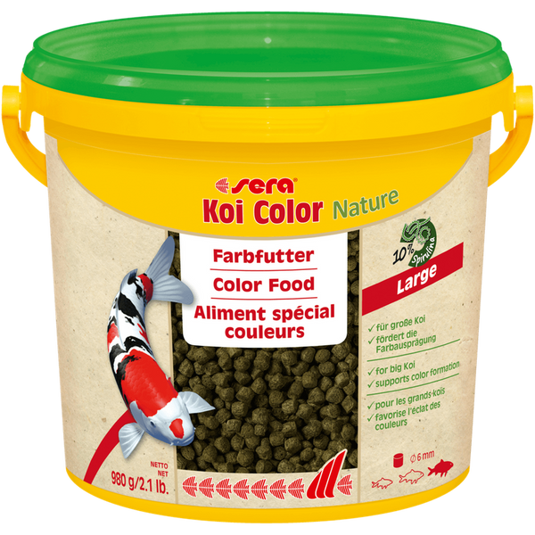 Koi color nael teure large 3800 ml - 980 g
