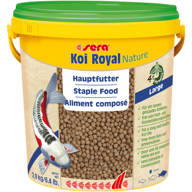 Koi royal nael teure large 10 l - 2,9 kg