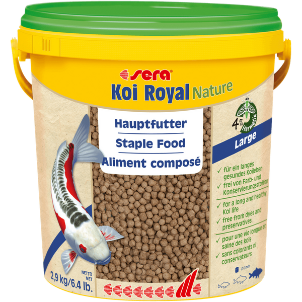 Koi royal nael teure large 10 l - 2,9 kg