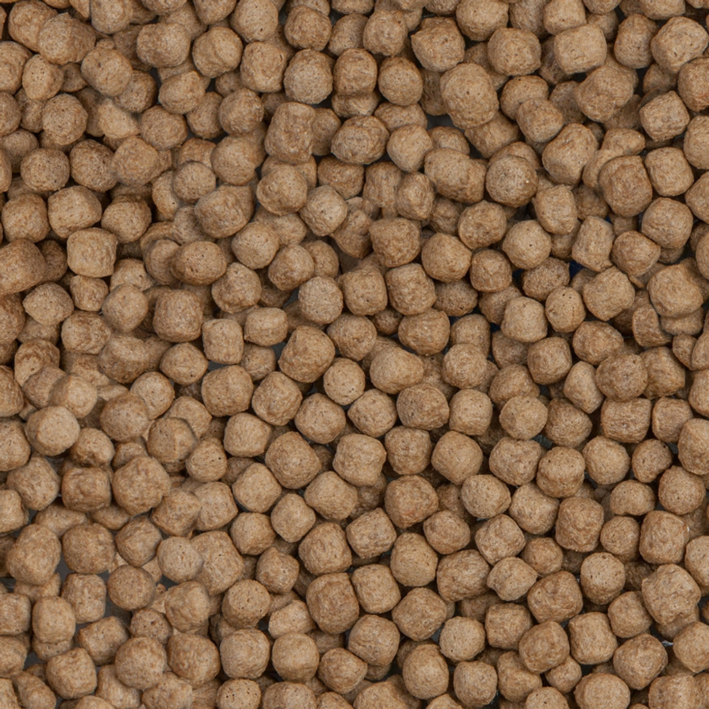 Sera Koi royal nature large 10L - 2,9kg Imatge secundària del producte