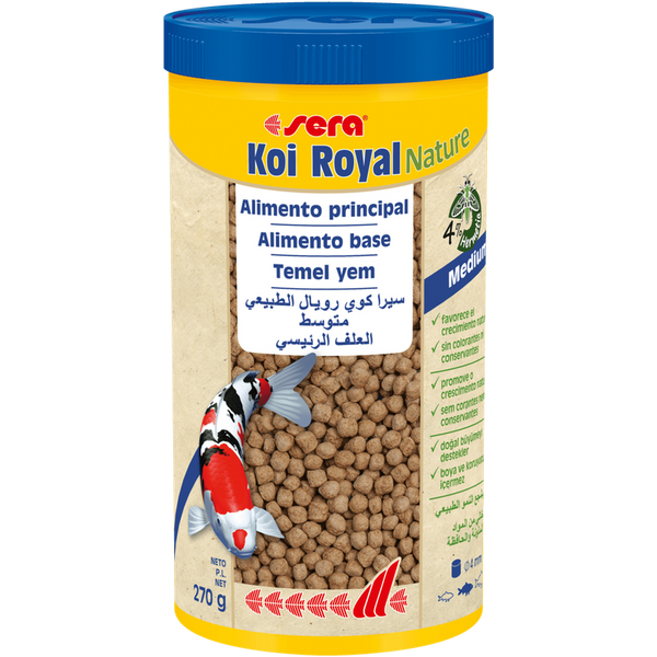 Koi royal nael teure medium