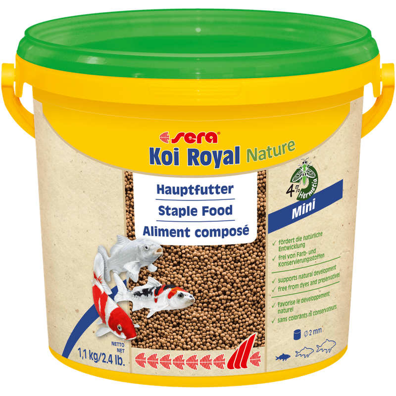 Koi royal nael teure mini 3800 ml - 1,1 kg
