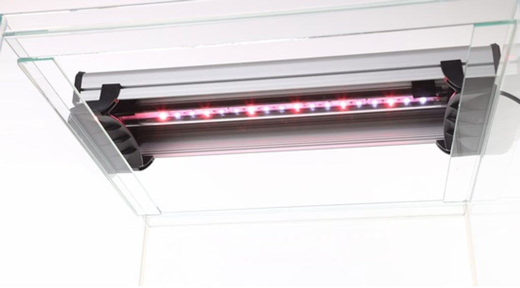 sera cube 1 led daylight sunrise 360 Imatge principal del producte