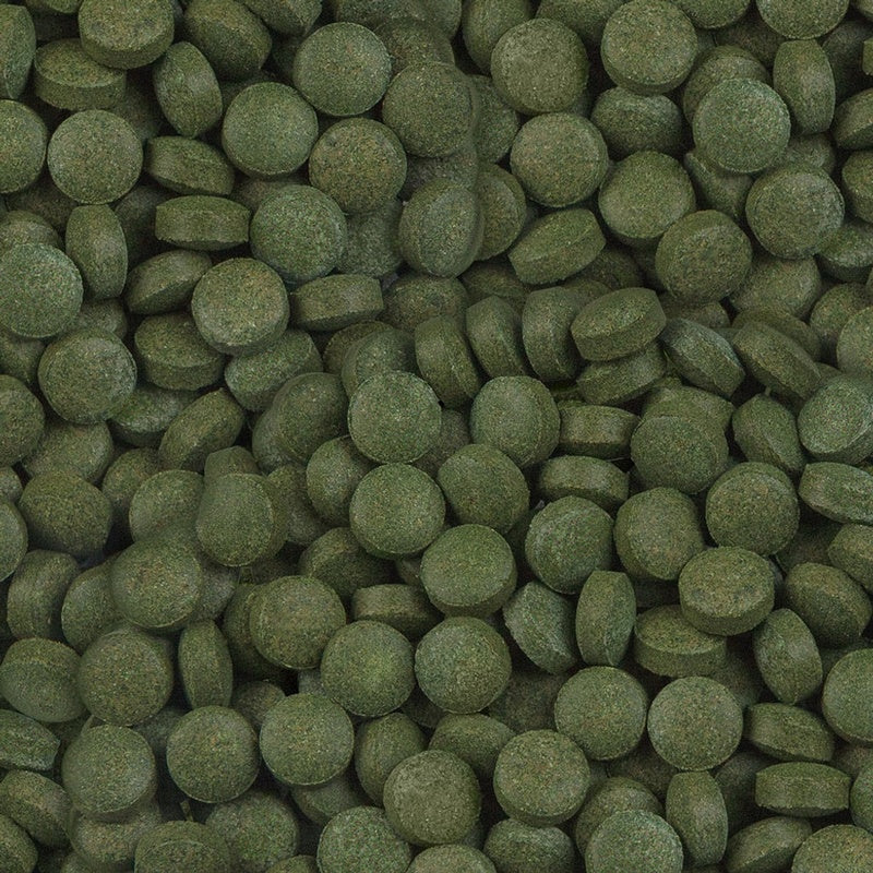 Plankton tabs nael teure 100 ml - 65 g