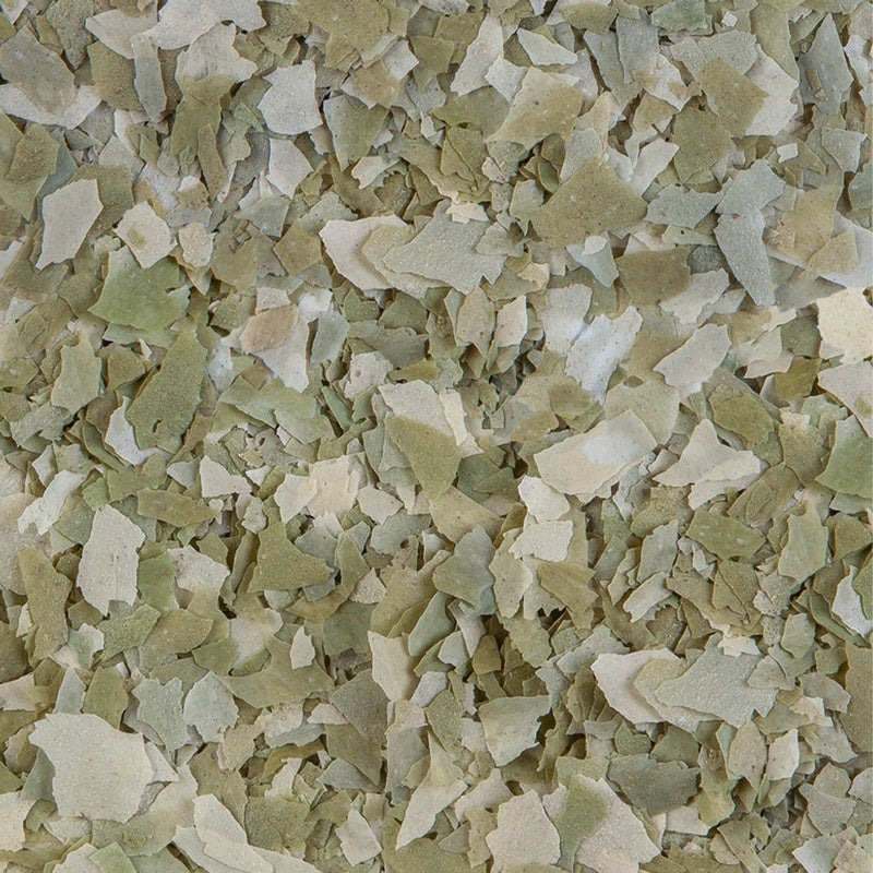 Estanque pond flakes nature