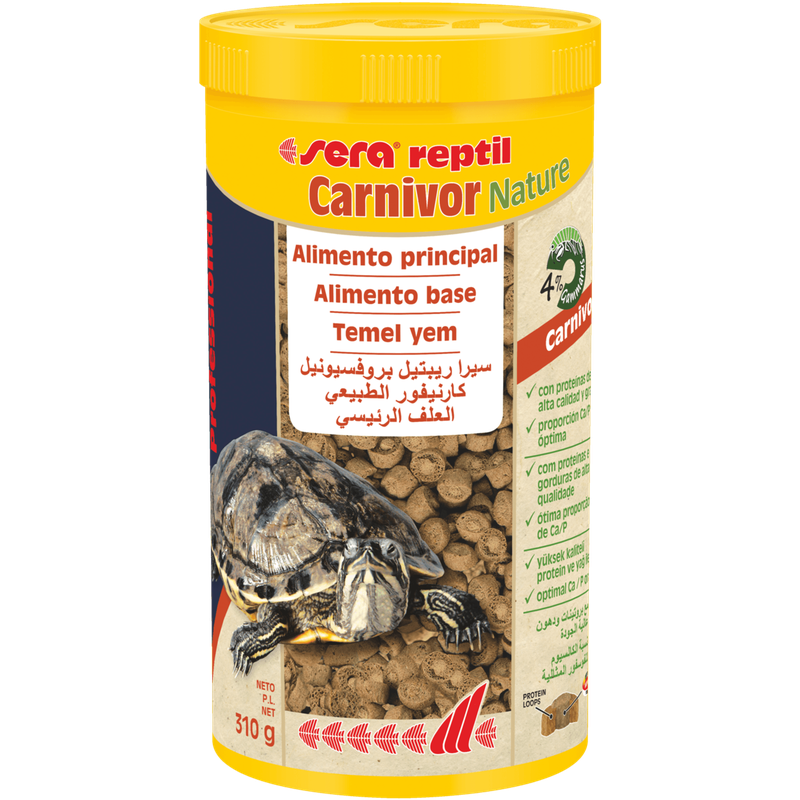 Reptil professional carnivor nature