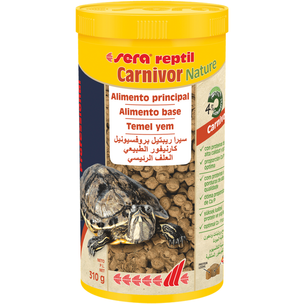 Reptil professional carnivor nature