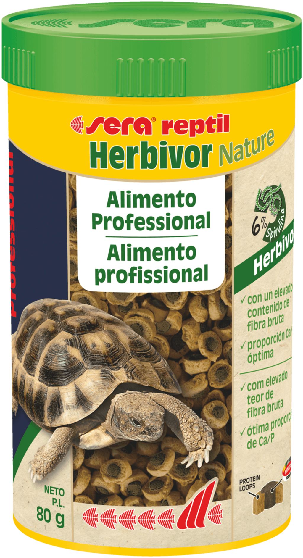 Rèptil professional herbivor nature