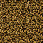 Rèptil professional herbivor nature