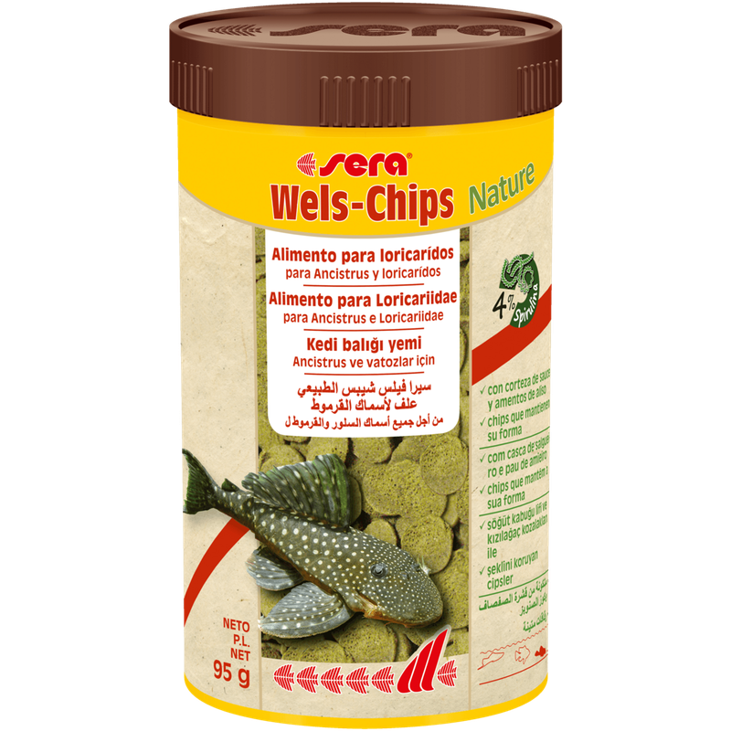 Welsh-chips nael teure 250 ml - 95 g