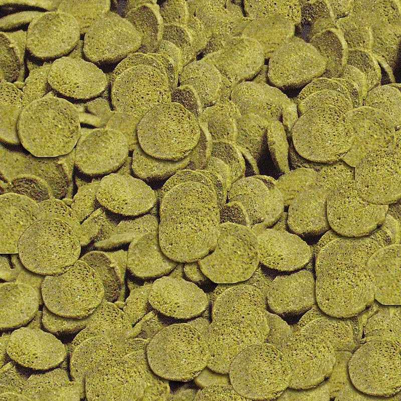 Pleco chips nael teure