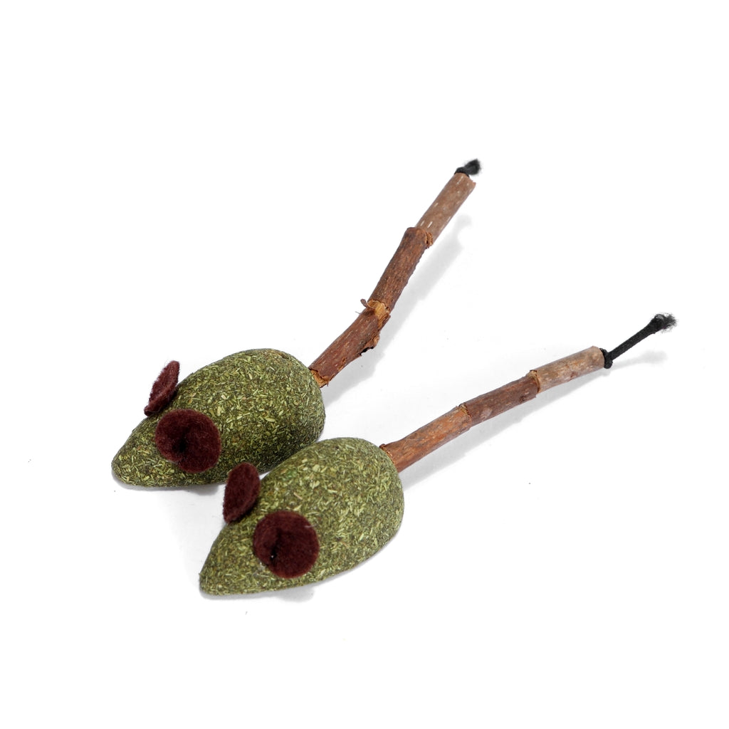 Matatabi 5 cm (2un) Imatge principal del producte