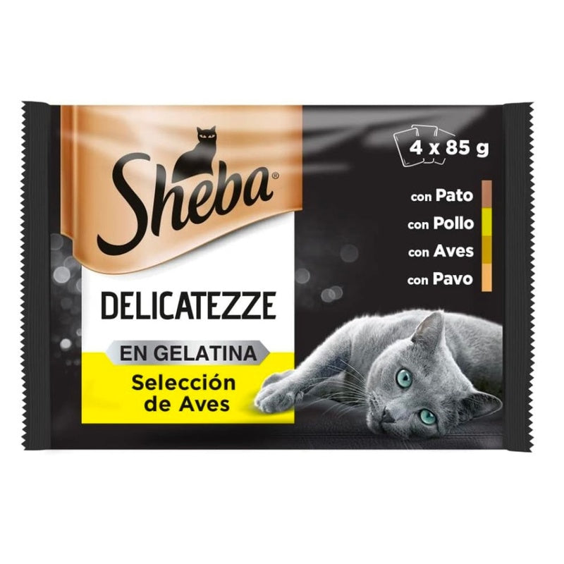Delicatezze gelatina aves