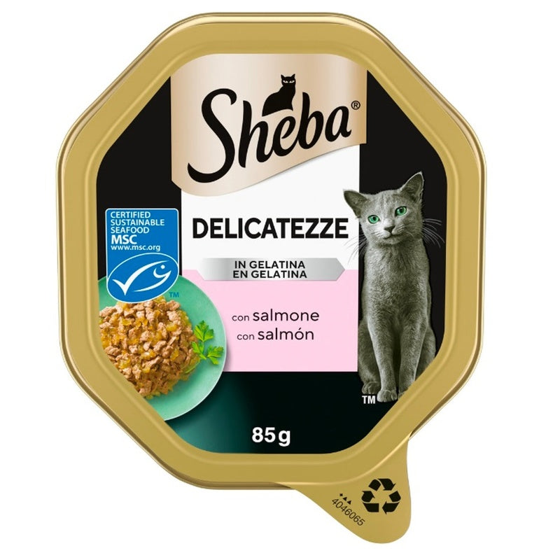 delicatezze salmó 85 g Imatge principal del producte