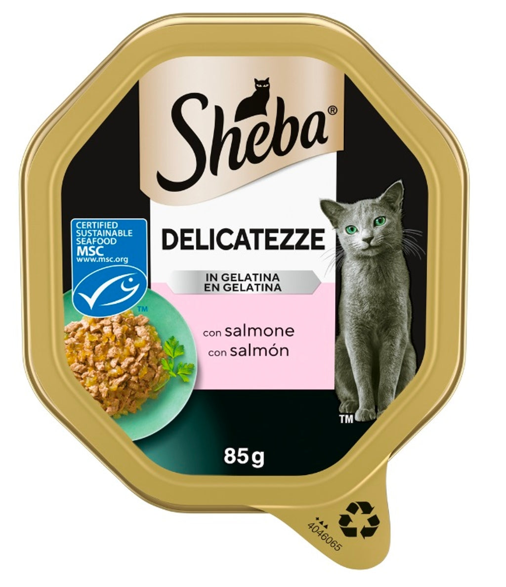 delicatezze salmón 85gr
