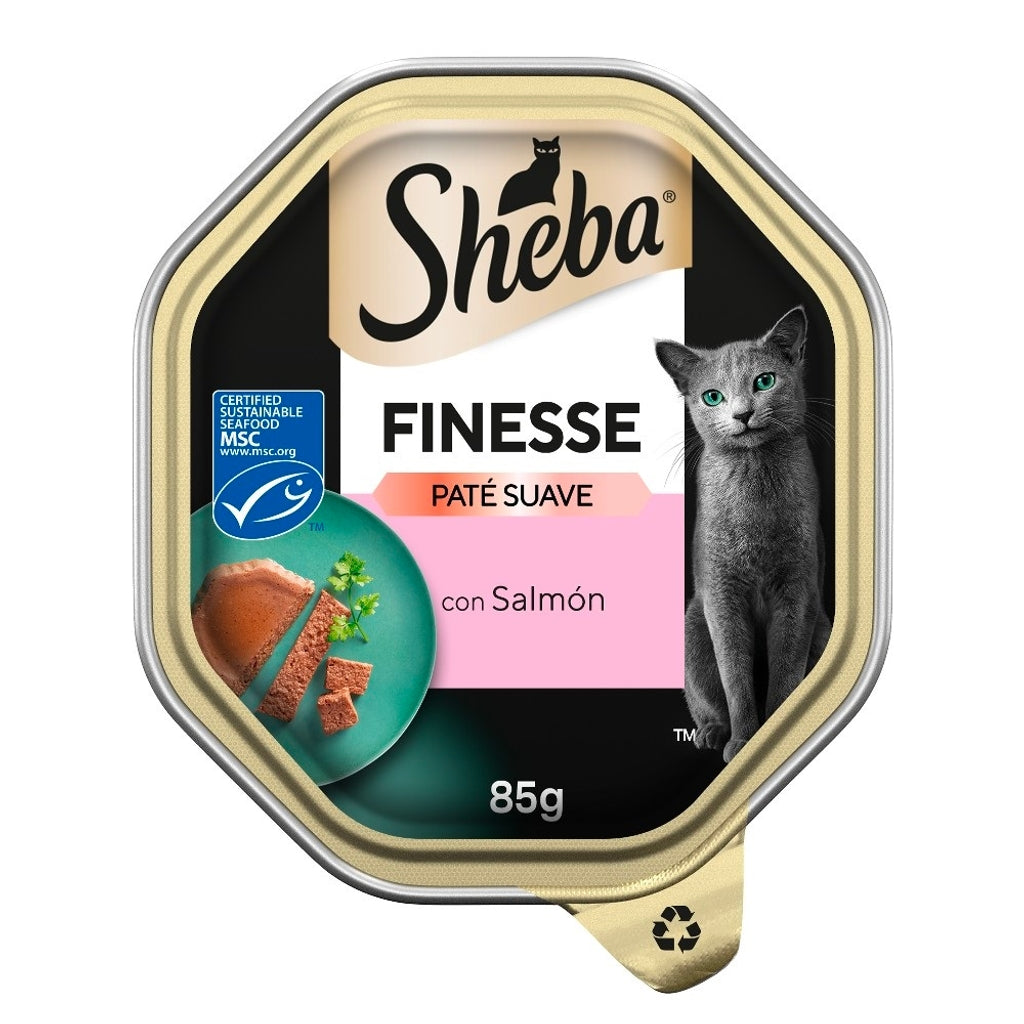 Finesse Paté salmón 85gr Imagen principal del producto