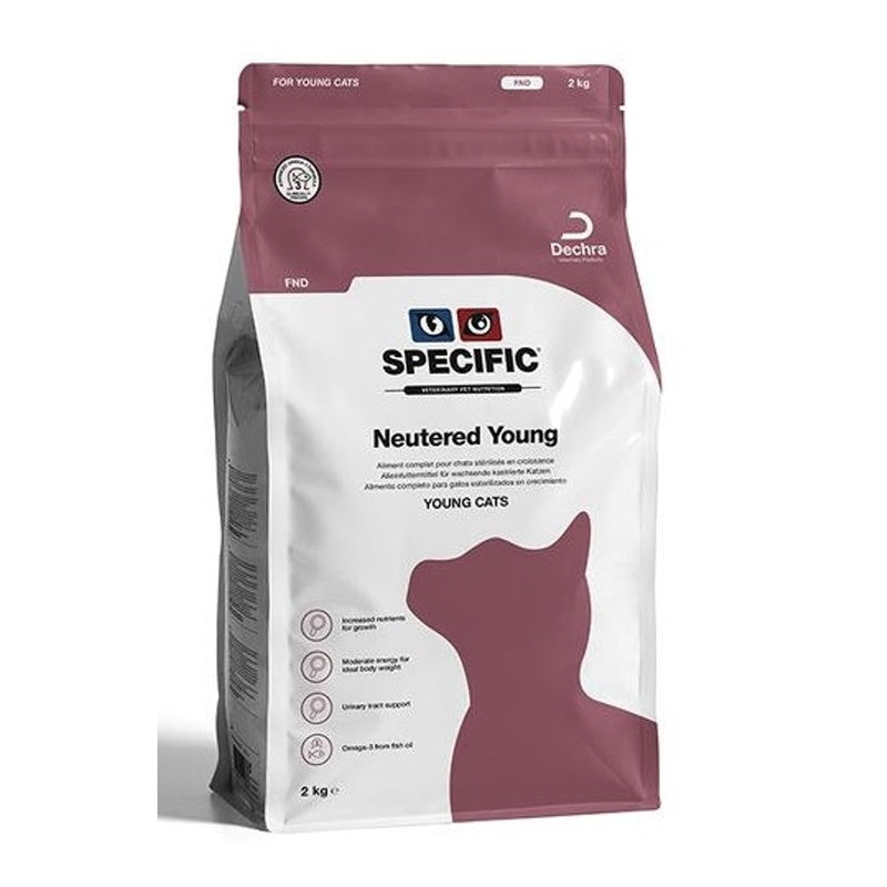 Neutered Young FND gat Imatge principal del producte