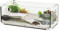 Karapas aqua blanco pro