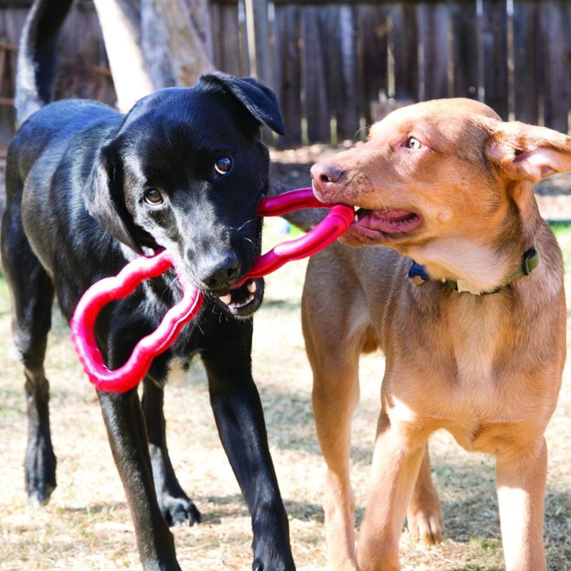 tug toy