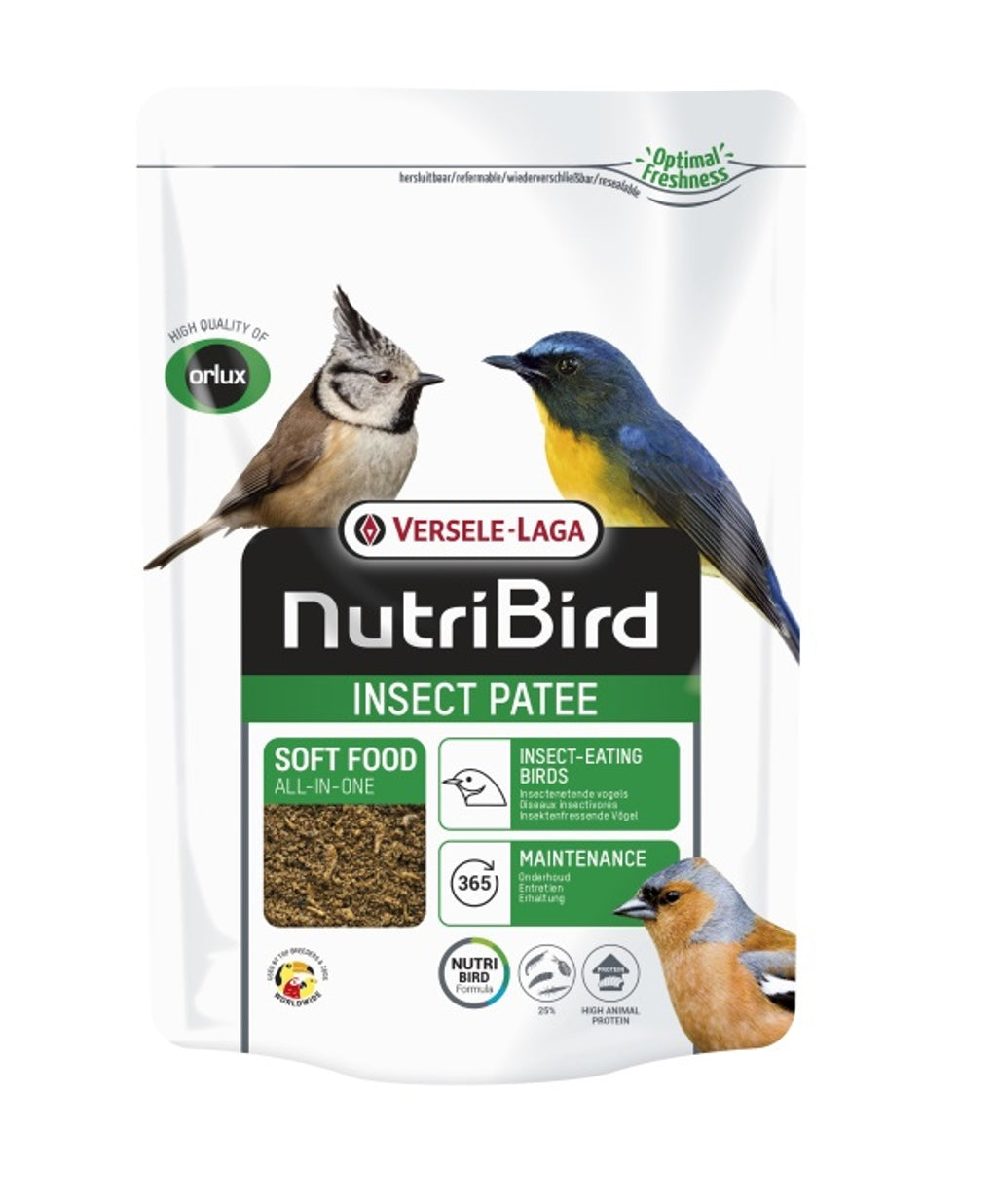 paté de insecto 250g