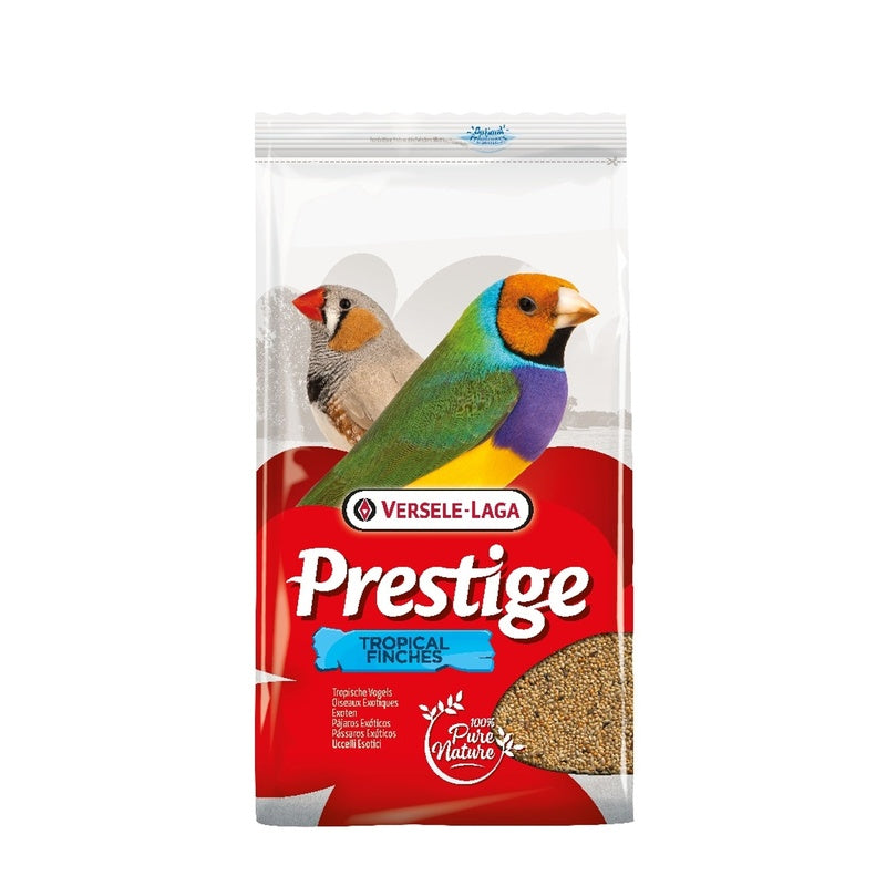 exoticos prestige 4kg Imagen principal del producto