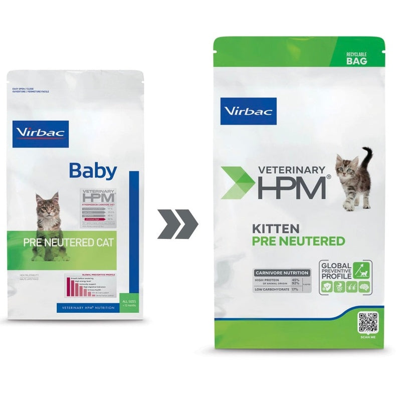 Hpm gato baby pre neutered