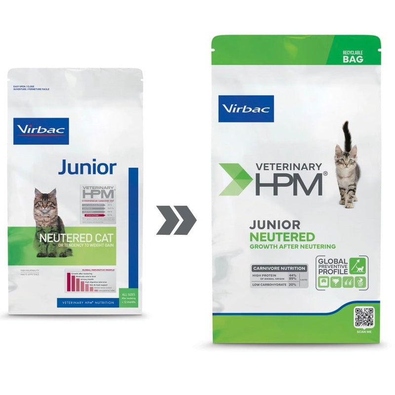 Hpm gat júnior neutered