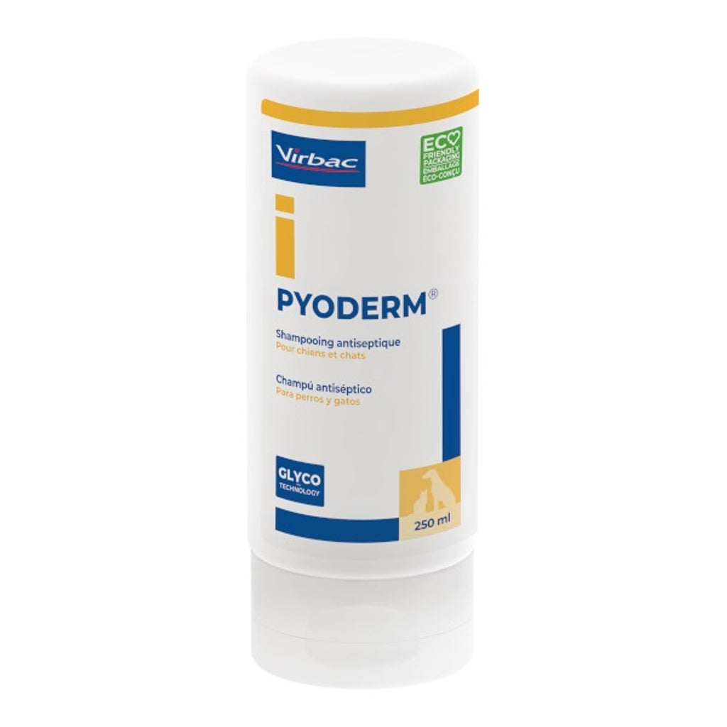 Pyoderm champú 250ml
