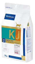 Hpm gat KJ2 Kidney&joint