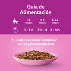 Core júnior 4x85 g