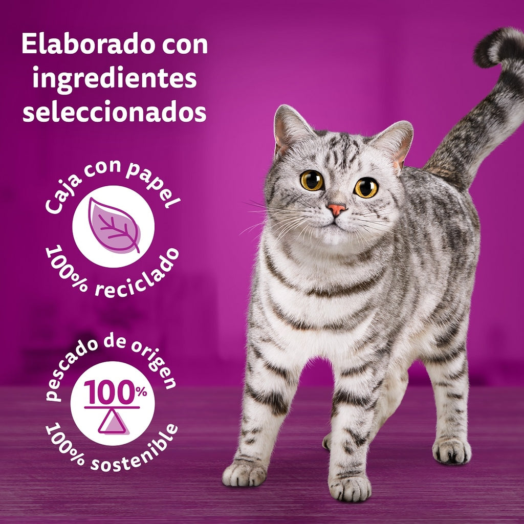 Pure Delight selecció aus 4x85 g