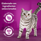 Pure Delight selecció de peix 4x85 g