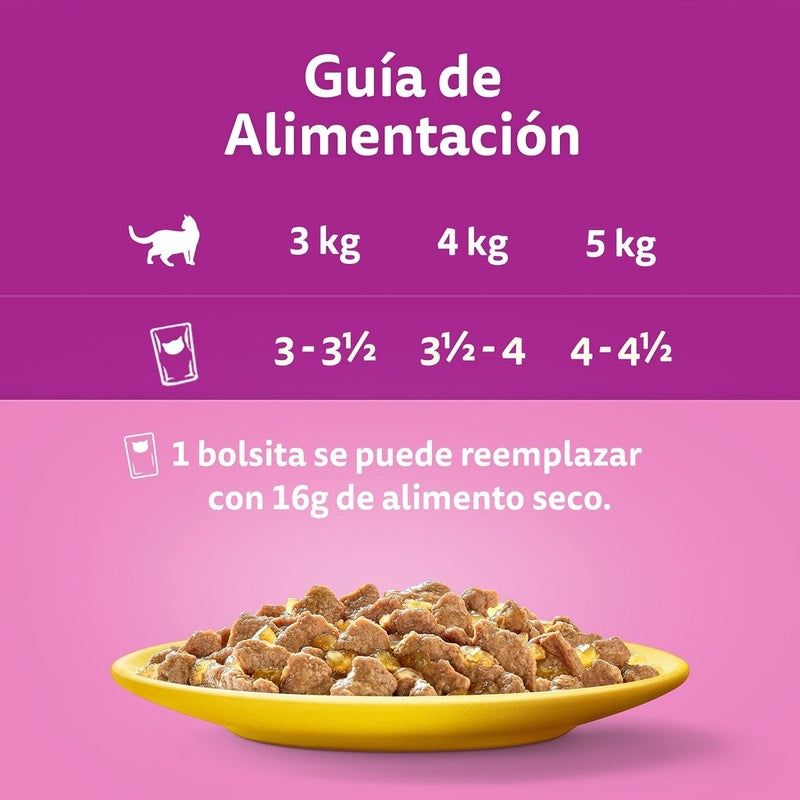 Core selección aves 12x85gr