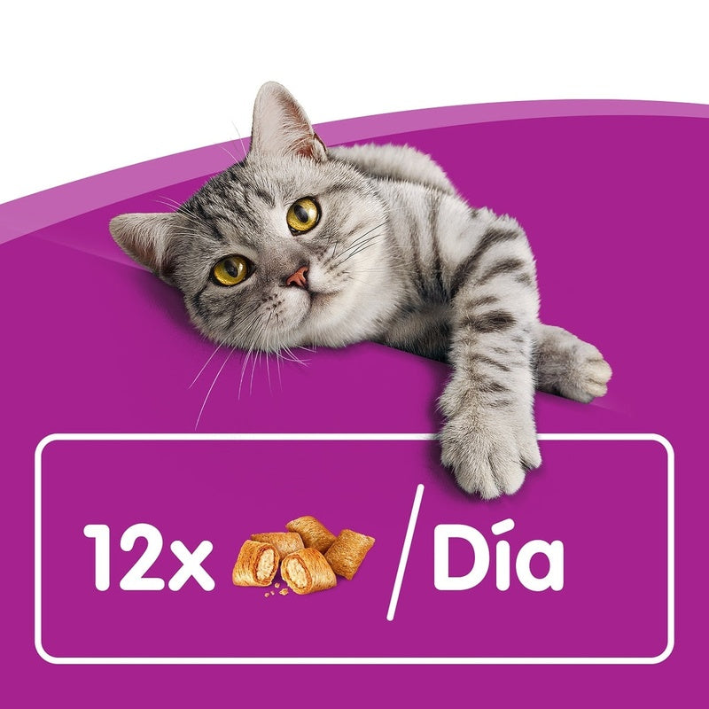 gato pollo 60gr