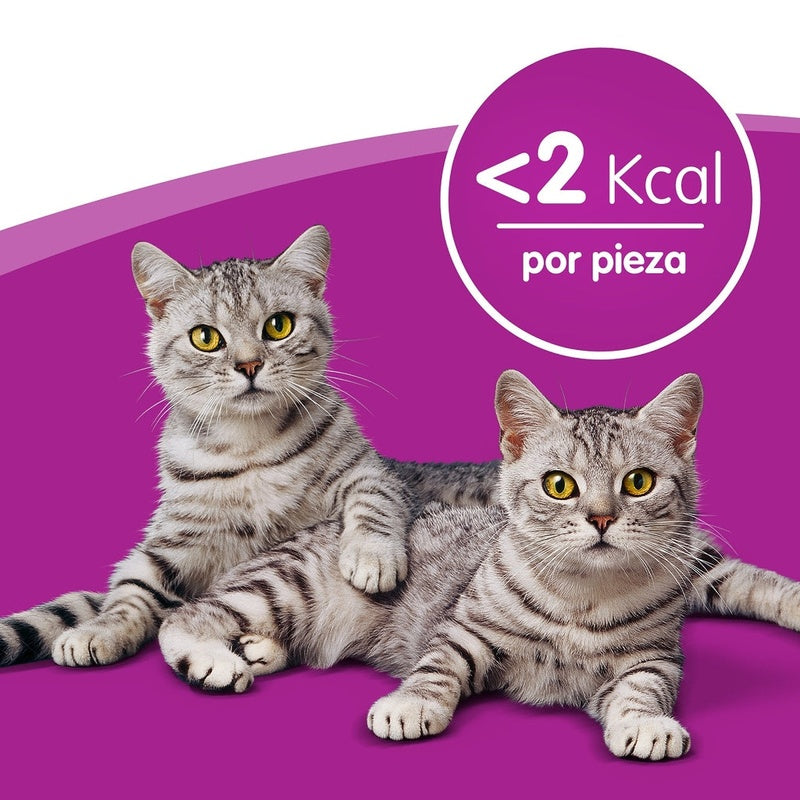 gato pollo 60gr