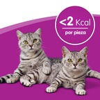 gato pollo 60gr