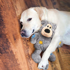 wild knots bear