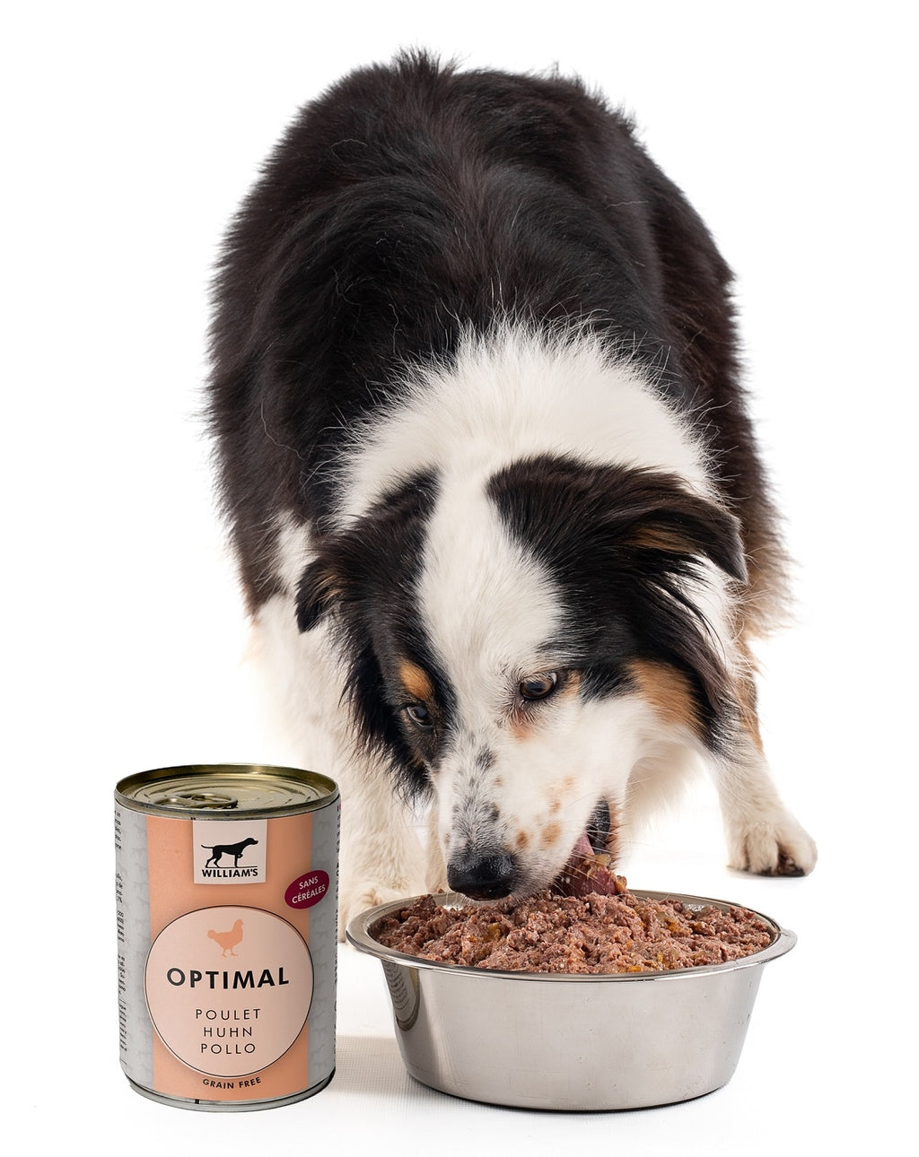 Williams Optimal Pollastre Imatge secundària del producte