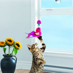 Window teaser
