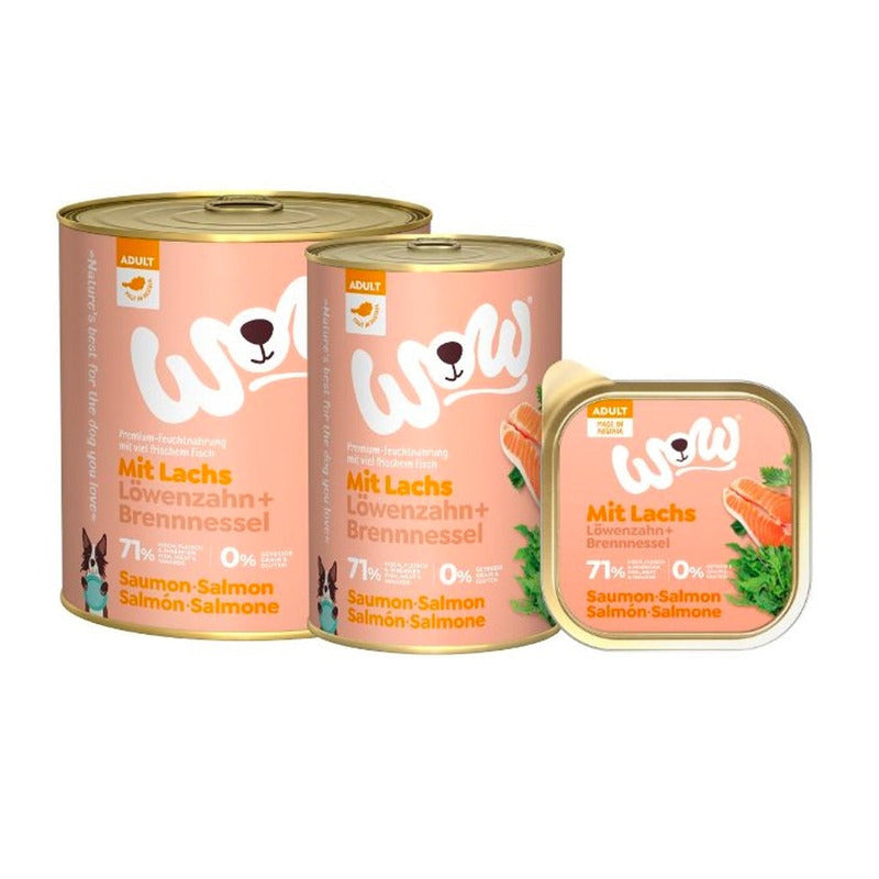 adulto salmón Imagen principal del producto