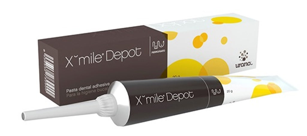 Xmile depot pasta dental adhesiva 20 g Imatge principal del producte