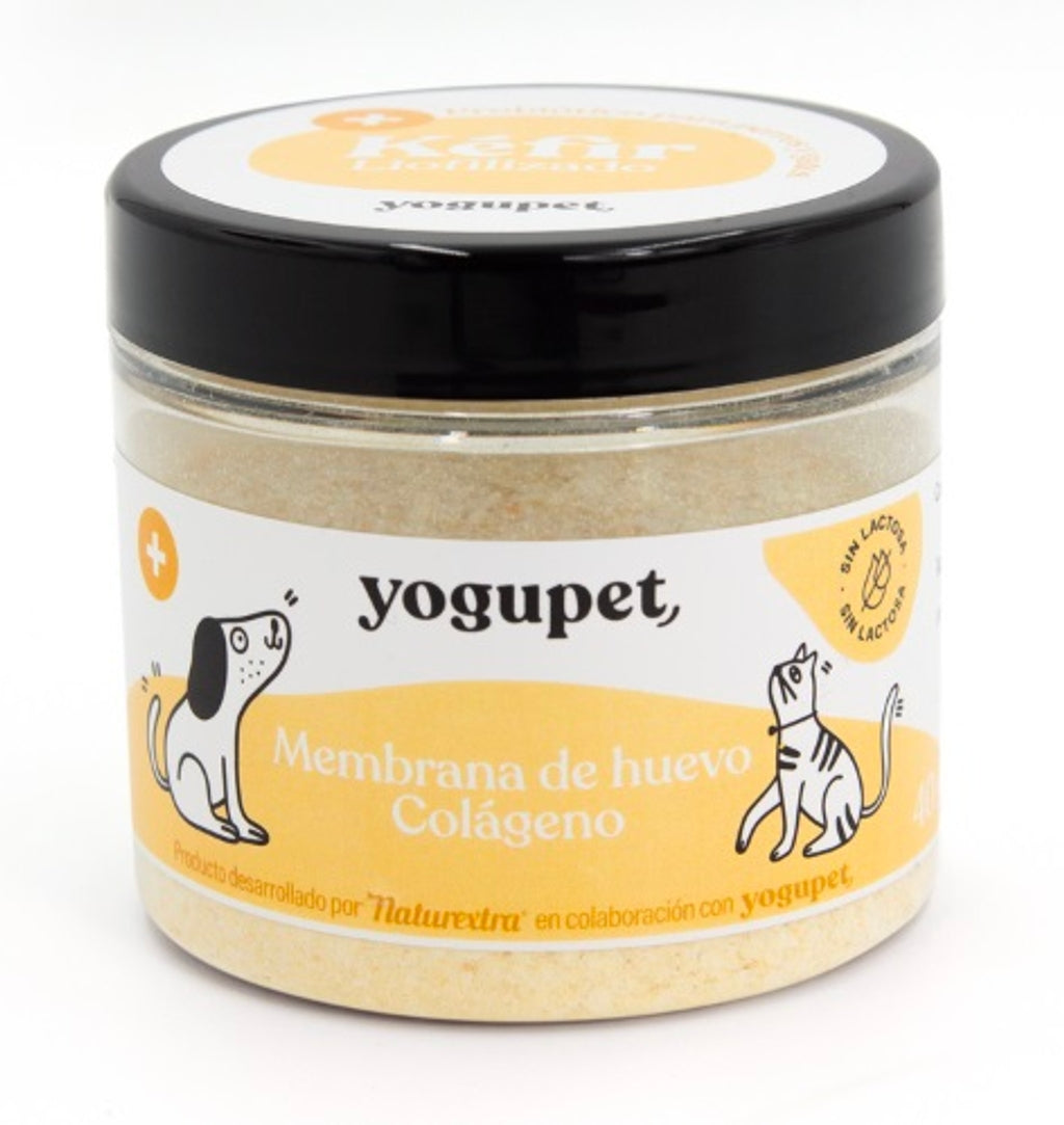kefir liofilizado membrana d'ou 40 g Imatge principal del producte