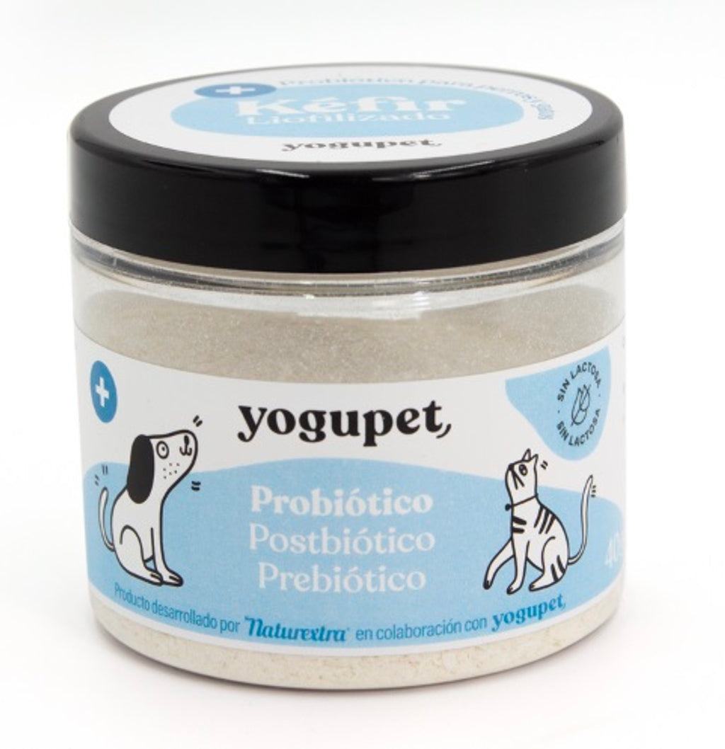 kefir liofilizado probiotic 40 g Imatge principal del producte