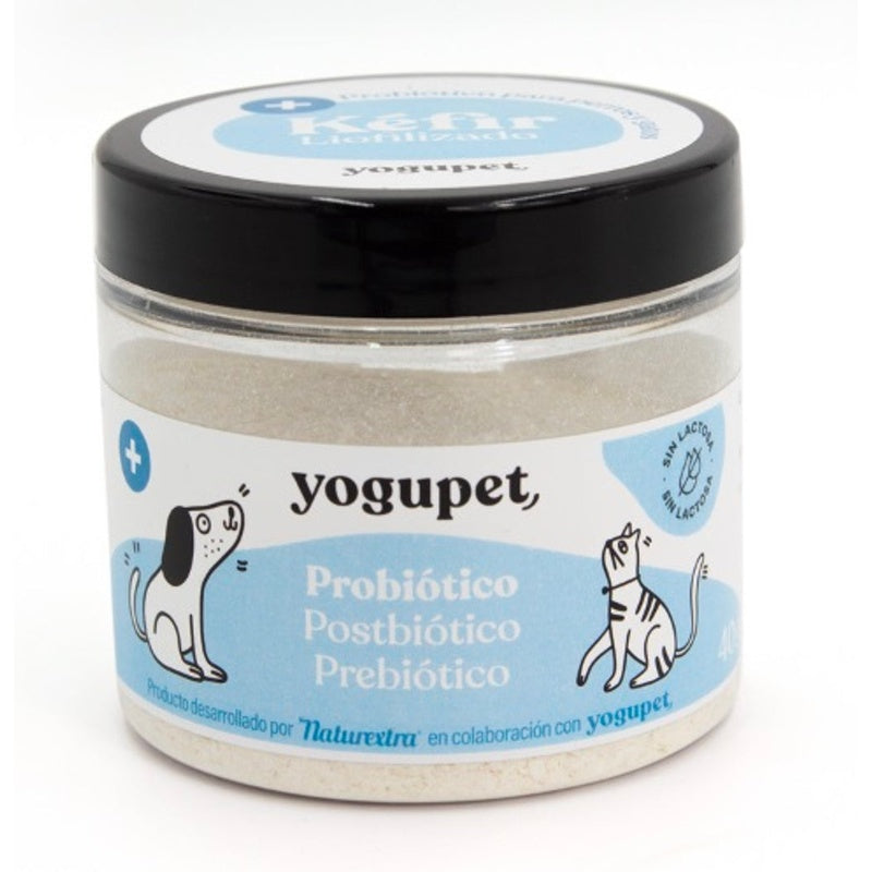 kefir liofilizado probiotico 40gr Imagen principal del producto